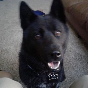 Meet your Posher, Jeff